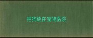 把狗放在宠物医院