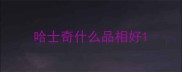 哈士奇什么品相好