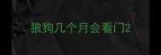 狼狗几个月会看门