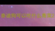 泰迪狗可以吃什么青菜