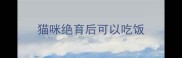 猫咪绝育后可以吃饭