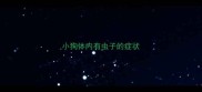 小狗体内有虫子的症状