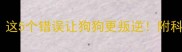 训犬翻车这5个错误让狗狗更叛逆附科学纠正指南