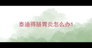 泰迪得肠胃炎怎么办