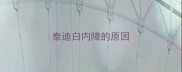 泰迪白内障的原因