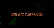 宠物店怎么给狗洗澡