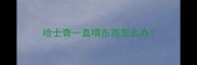 哈士奇一直啃东西怎么办