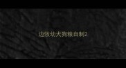 边牧幼犬狗粮自制