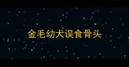 金毛幼犬误食骨头