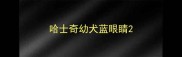 哈士奇幼犬蓝眼睛