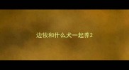 边牧和什么犬一起养