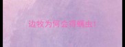 边牧为何会得螨虫
