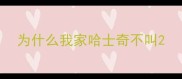 为什么我家哈士奇不叫