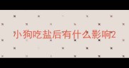 小狗吃盐后有什么影响