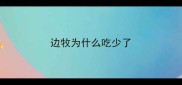 边牧为什么吃少了