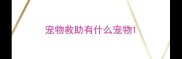 宠物救助有什么宠物