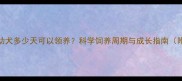 拉布拉多幼犬多少天可以领养科学饲养周期与成长指南附喂养表