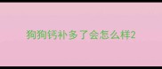 狗狗钙补多了会怎么样