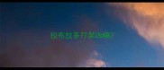 拉布拉多打架凶嘛