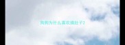 狗狗为什么喜欢摸肚子
