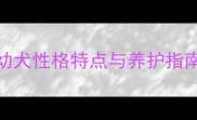 母拉布拉多幼犬性格特点与养护指南新手必看