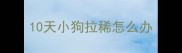 10天小狗拉稀怎么办