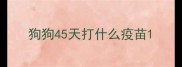 狗狗45天打什么疫苗