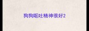 狗狗呕吐精神很好