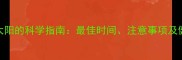 哈士奇晒太阳的科学指南最佳时间注意事项及健康护理全