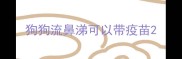 狗狗流鼻涕可以带疫苗