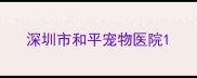 深圳市和平宠物医院