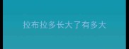 拉布拉多长大了有多大