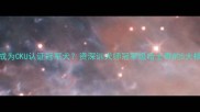 哈士奇如何成为CKU认证冠军犬资深训犬师冠军级哈士奇的5大核心训练法则