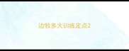 边牧多大训练定点