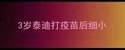 3岁泰迪打疫苗后细小