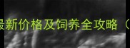 双蓝眼哈士奇最新价格及饲养全攻略附避坑指南