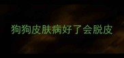 狗狗皮肤病好了会脱皮