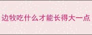 边牧吃什么才能长得大一点
