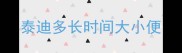 泰迪多长时间大小便