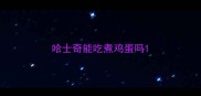 哈士奇能吃煮鸡蛋吗