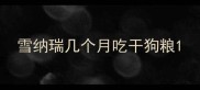 雪纳瑞几个月吃干狗粮