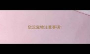 空运宠物注意事项