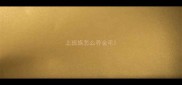 上班族怎么养金毛