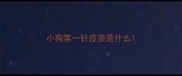 小狗第一针疫苗是什么
