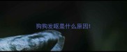 狗狗发呕是什么原因
