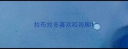 拉布拉多喜欢咬我脚