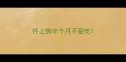 怀上狗半个月不爱吃