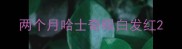 两个月哈士奇眼白发红