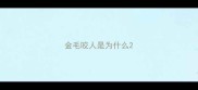 金毛咬人是为什么