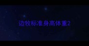 边牧标准身高体重